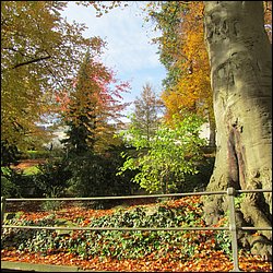 IMG_4270.JPG