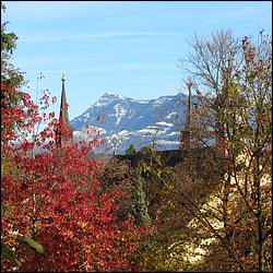 IMG_4285.JPG