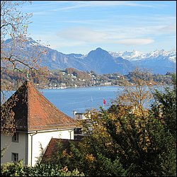 IMG_4293.JPG