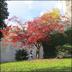 IMG_4296.JPG