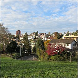 IMG_4316.JPG