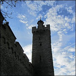 IMG_4319.JPG