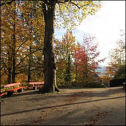 IMG_4326.JPG
