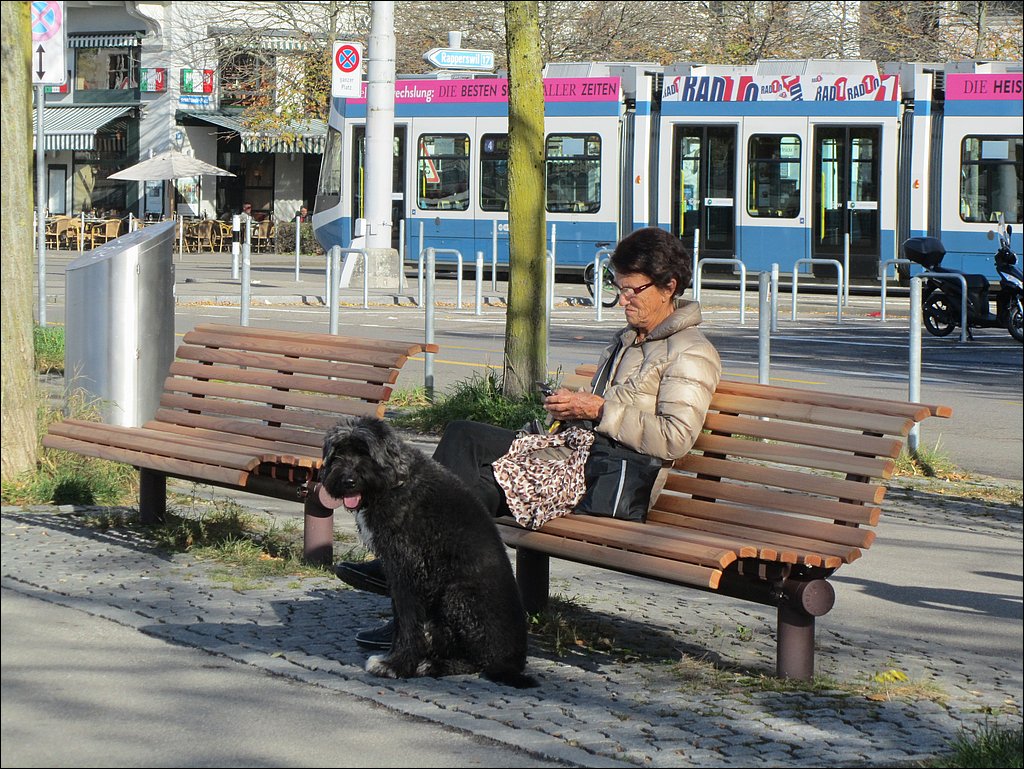 IMG_4422.JPG