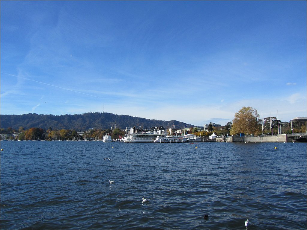 IMG_4429.JPG