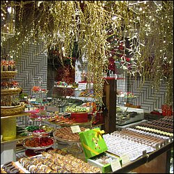 IMG_4105.JPG