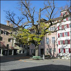 IMG_4400.JPG