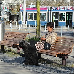 IMG_4422.JPG
