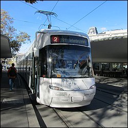 IMG_4427.JPG