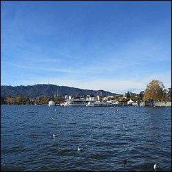 IMG_4429.JPG