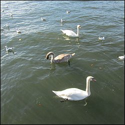 IMG_4430.JPG