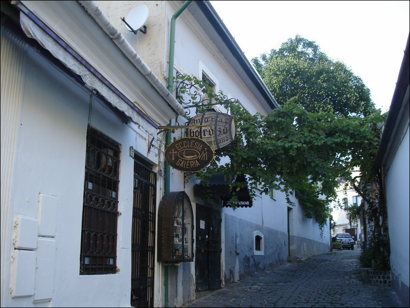 DSC09025.JPG