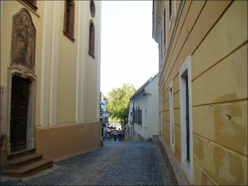 DSC09027.JPG
