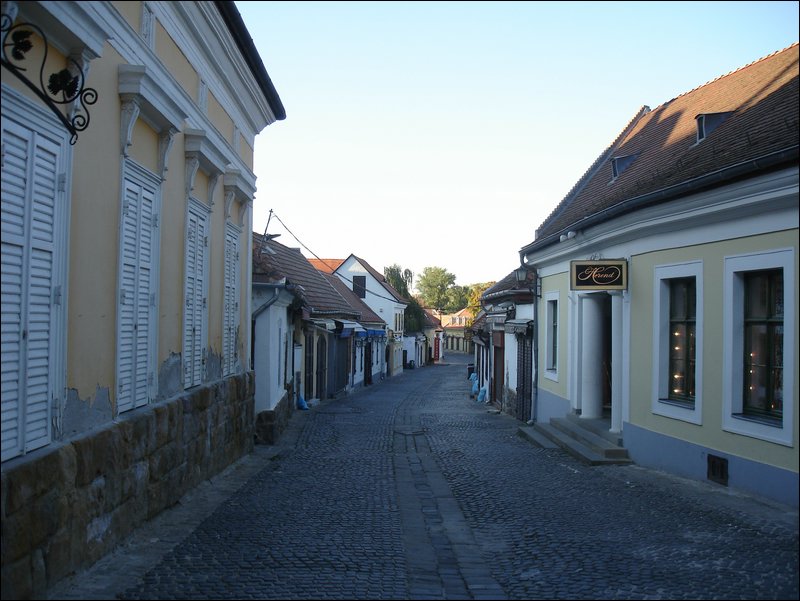 DSC09030.JPG