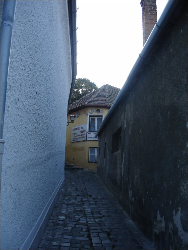 DSC09033.JPG