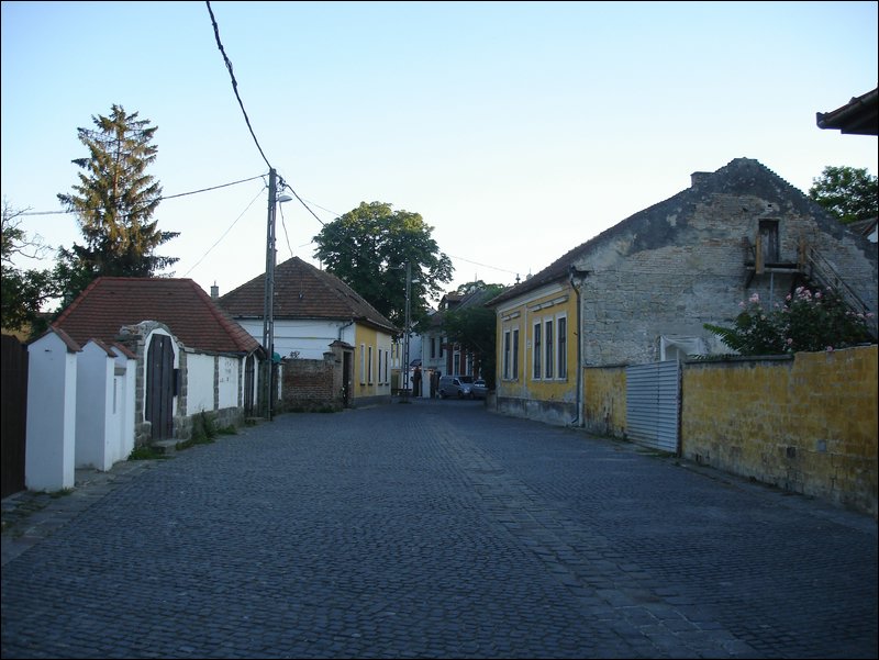 DSC09071.JPG