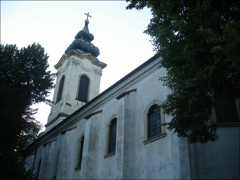 DSC09080.JPG