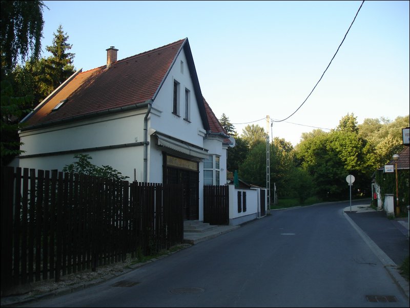 DSC09081.JPG