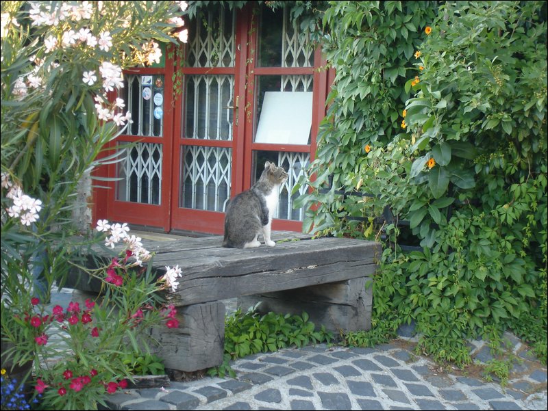 DSC09114.JPG