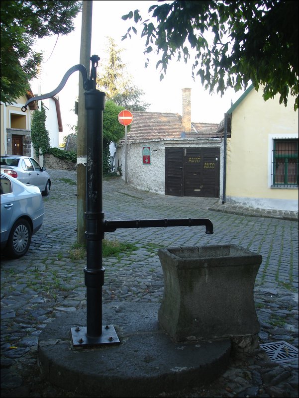 DSC09119.JPG
