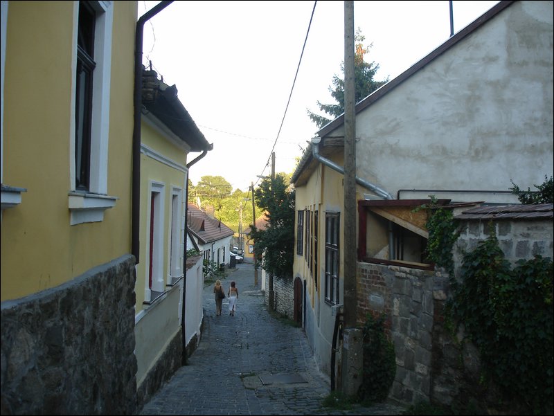 DSC09121.JPG