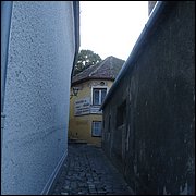 DSC09033.JPG