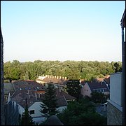 DSC09091.JPG