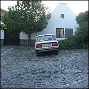 DSC09113.JPG