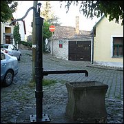 DSC09119.JPG