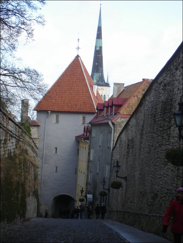 DSC06455.JPG