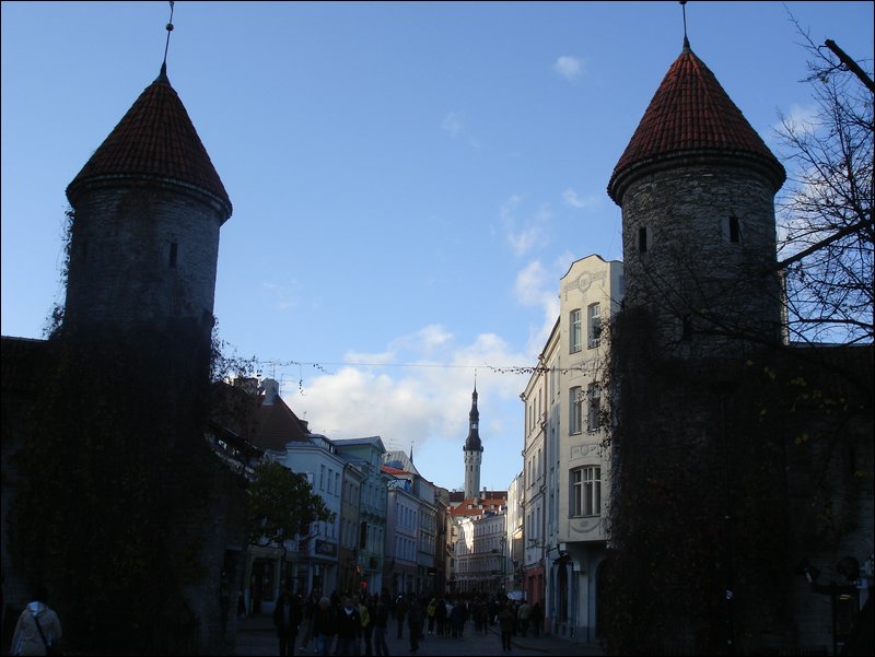 DSC06470.JPG