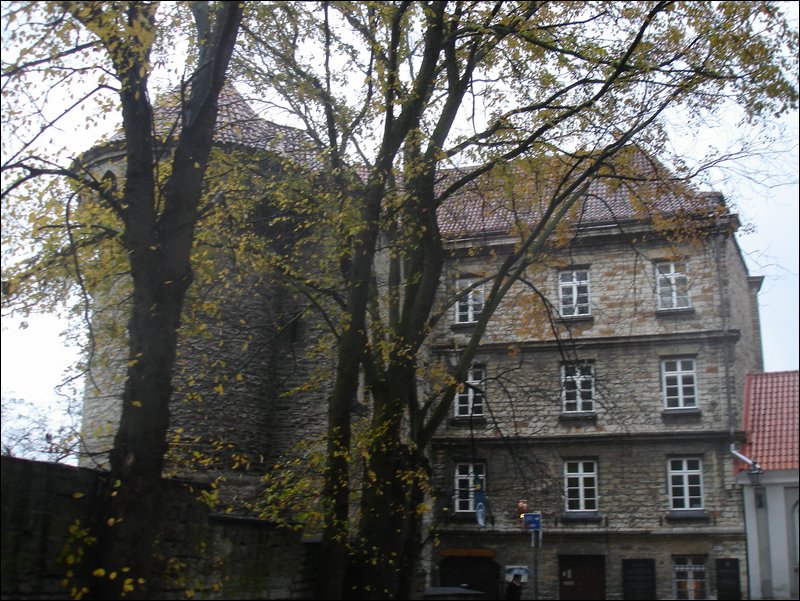 DSC06556.JPG