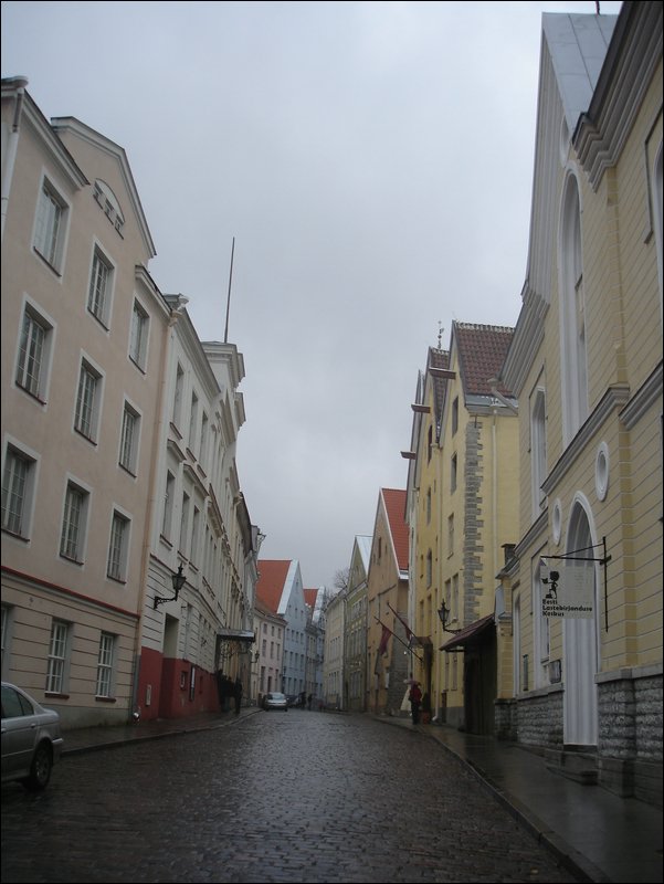DSC06557.JPG