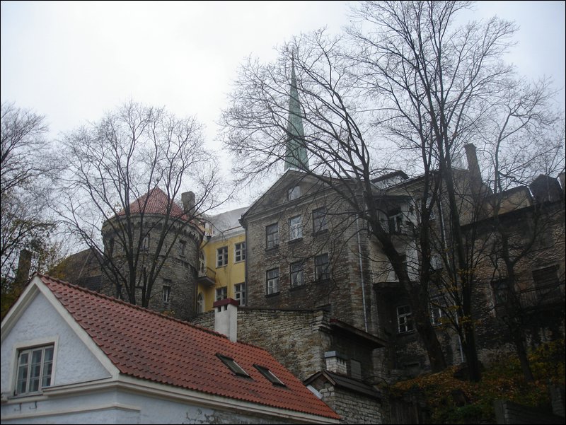 DSC06568.JPG