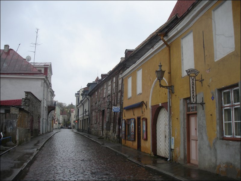 DSC06571.JPG