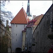DSC06455.JPG