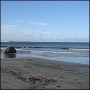 DSC06489.JPG