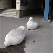 DSC06517.JPG