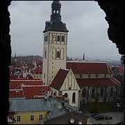 DSC06529.JPG