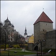 DSC06535.JPG