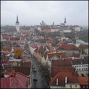 DSC06544.JPG