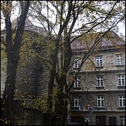 DSC06556.JPG