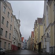 DSC06557.JPG