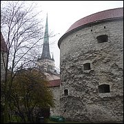 DSC06566.JPG