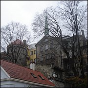 DSC06568.JPG