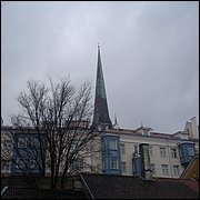 DSC06569.JPG