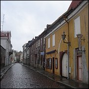 DSC06571.JPG