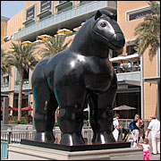 IMG_6515.JPG