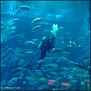 IMG_6523.jpg