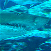 IMG_6524.jpg